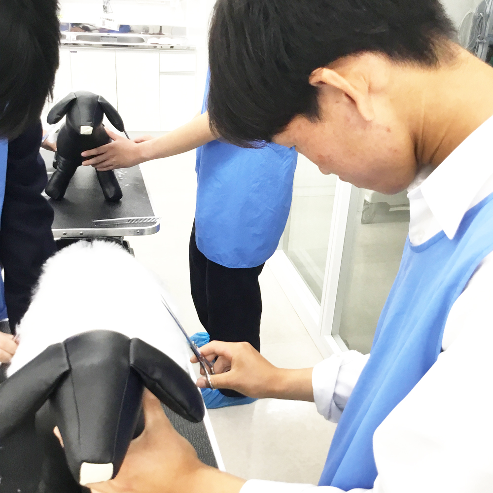 高校生の職業体験♪